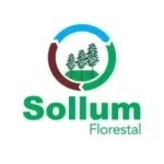 Saltus Corp Negócios Florestais
